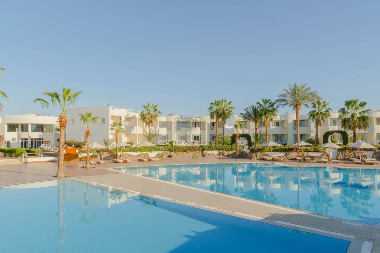 Ampia piscina con lettini e ombrelloni davanti agli edifici bianchi tra le palme
