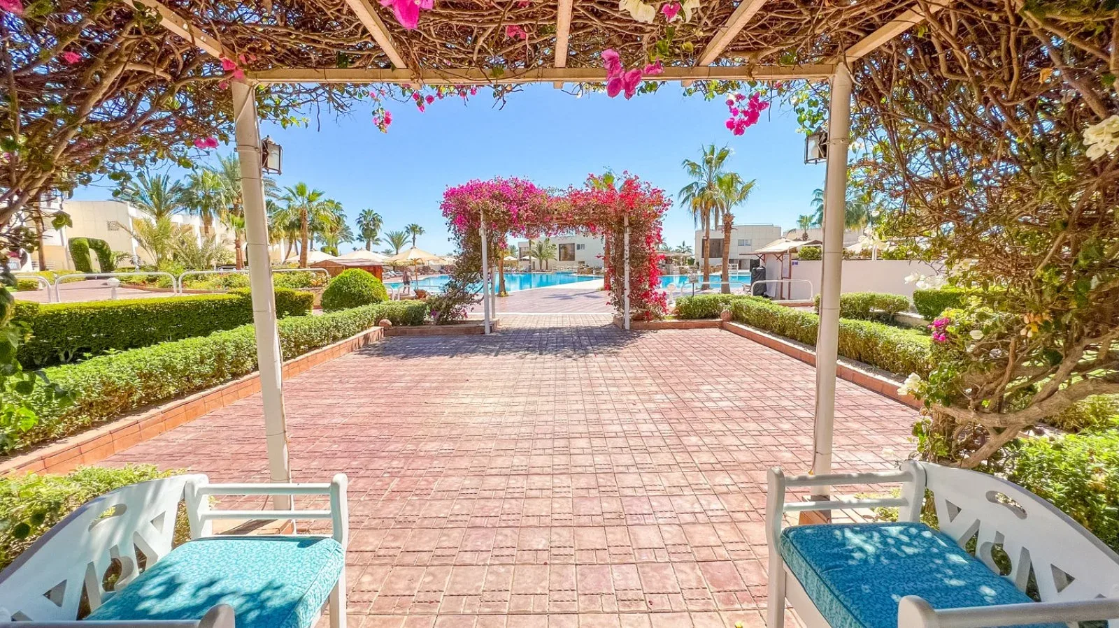 Vialetto pedonale con pergolato fiorito di bougainvillea che conduce alla piscina